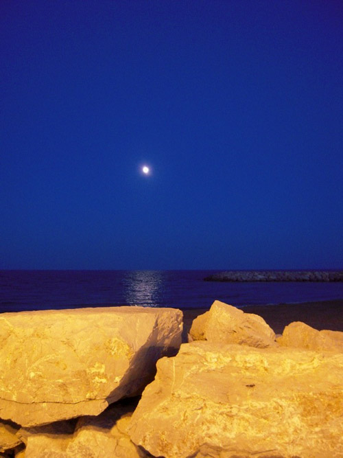a0060003_5313139.jpg