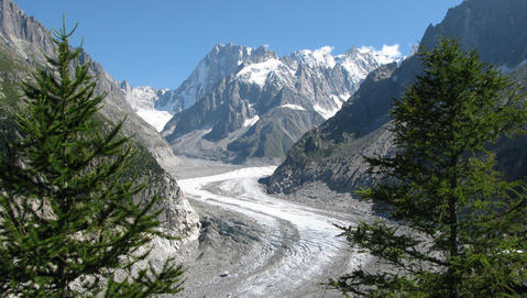 a0058308_772641.jpg