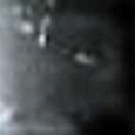 e0103408_1221226.gif