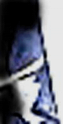 e0103408_12251095.gif