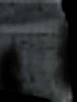 e0103408_12253525.gif