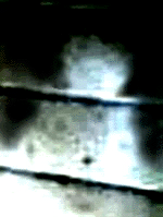 e0103408_12313435.gif