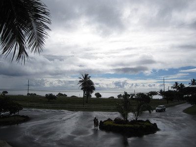 b0184211_94636.jpg