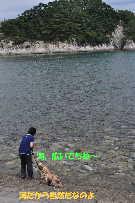 b0067012_10361346.jpg