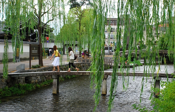 夏色 行者橋とかみそそぎ川とか 一年365日 京日和