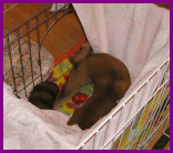 d0143214_14143621.gif