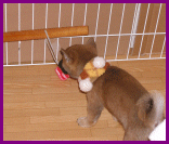 d0143214_14152877.gif