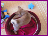 d0143214_14164085.gif