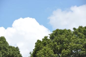 b0187019_225053100.jpg