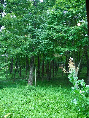 d0180920_1628961.jpg