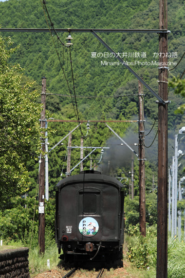 茶畑を走る大井川鉄道・・そしてかわね路_f0081726_20504080.jpg