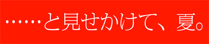 緊急査察 憧れの元店舗ライフ(乾物屋編)池田 賢一邸_f0203027_12394949.jpg