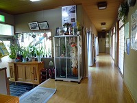 d0086228_903854.jpg