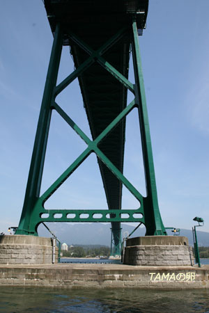 c0024729_22132118.jpg