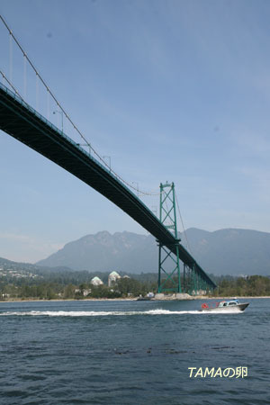 c0024729_2213254.jpg
