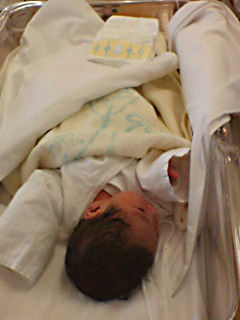 f0224732_7344649.jpg