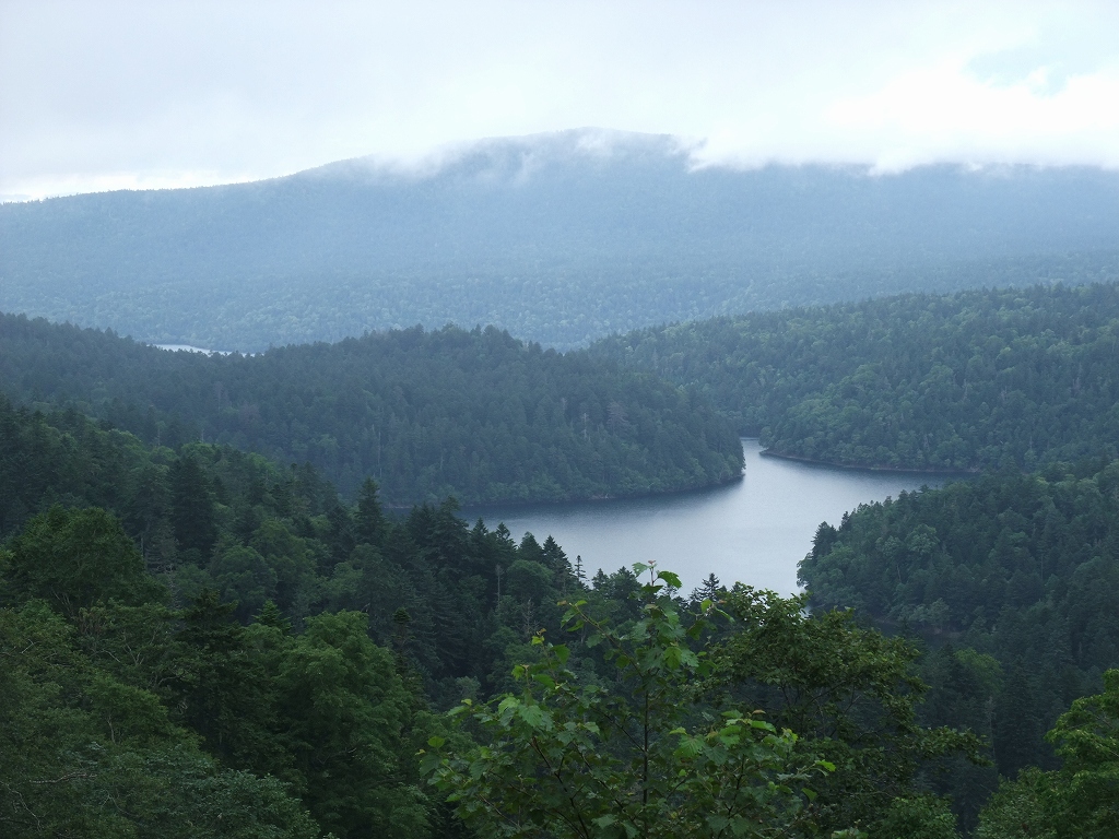 北海道　タンデムツーリング　霧!霧!雨_f0050534_6482262.jpg