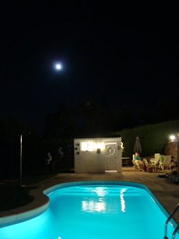 e0120938_1536528.jpg