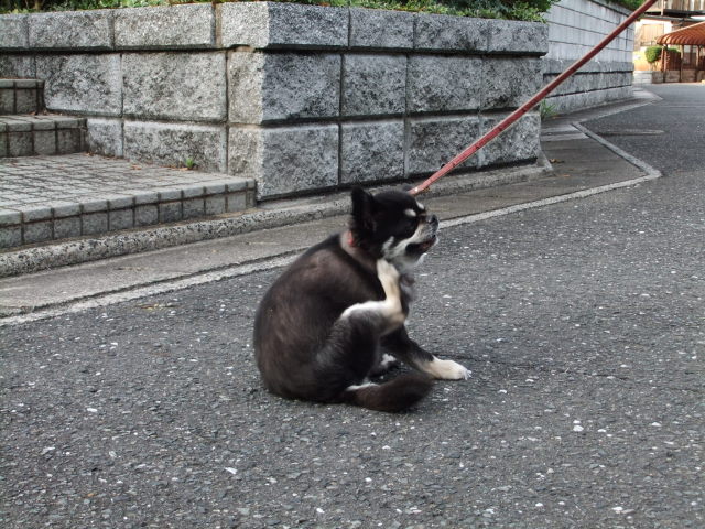 f0210340_22381046.jpg