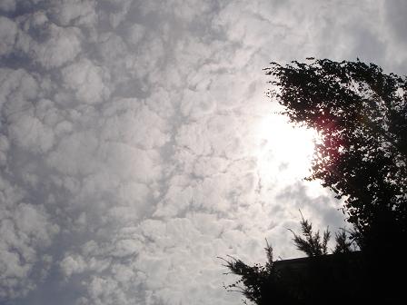 e0181047_23214049.jpg
