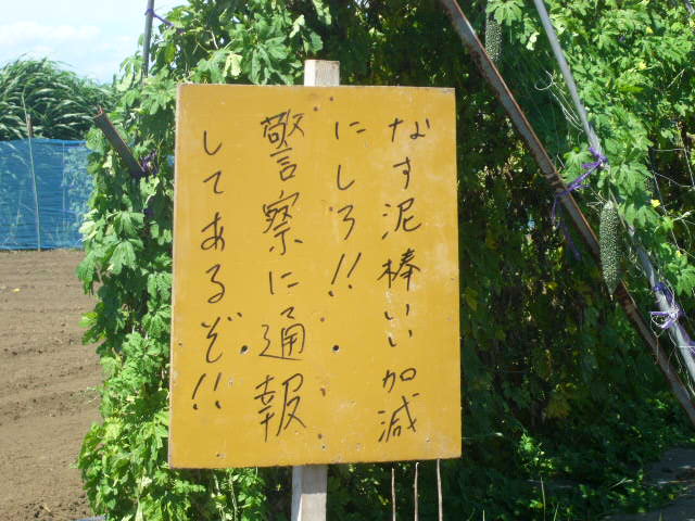 ジョイア号・・・見かけたらお声かけてください_c0222448_13513945.jpg