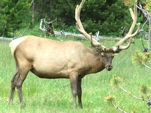 f0228053_50353.jpg