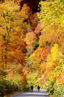 c0047856_00556.jpg