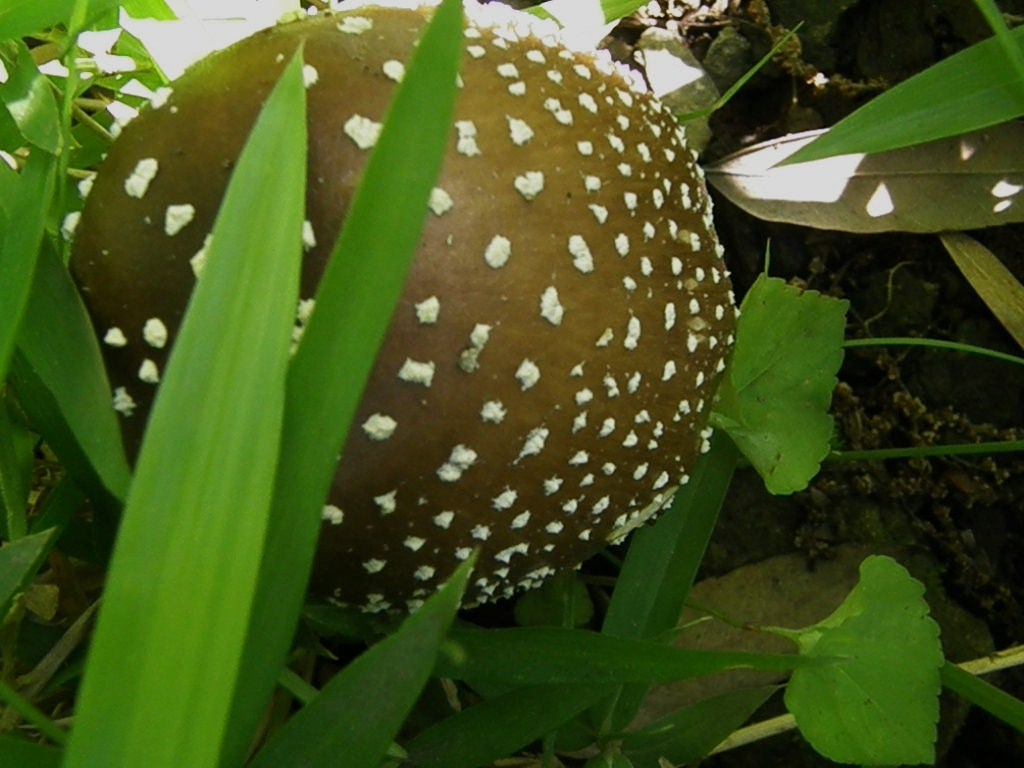 e0064158_2313124.jpg