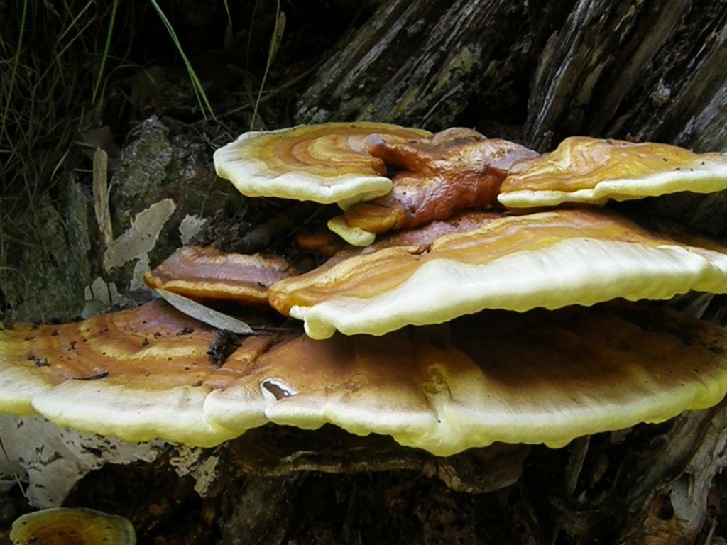e0064158_23135917.jpg