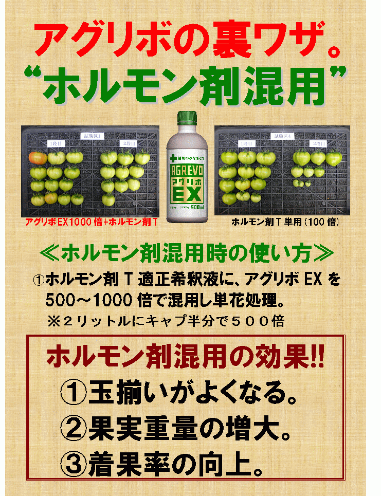 まだまだ暑さは続くようです_b0164360_1420592.gif