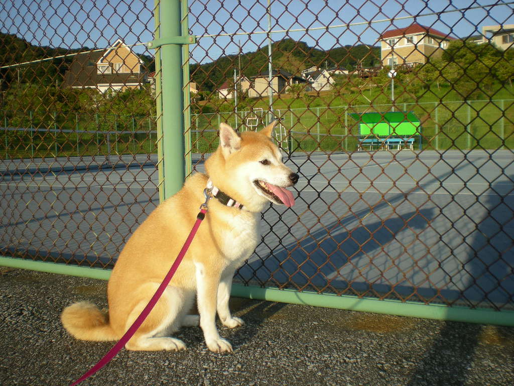 2010年9月2日(木)最高に暑い夏!_f0060461_9311099.jpg
