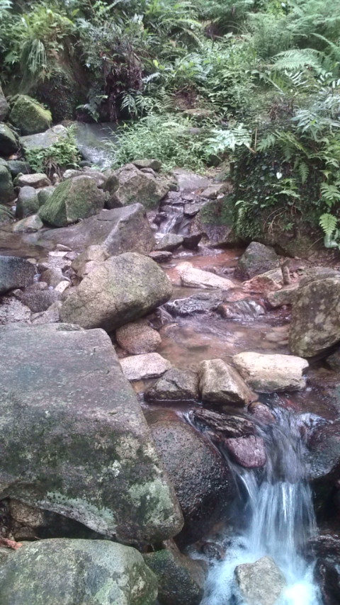 f0159763_13463962.jpg