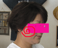 d0050871_10131975.gif