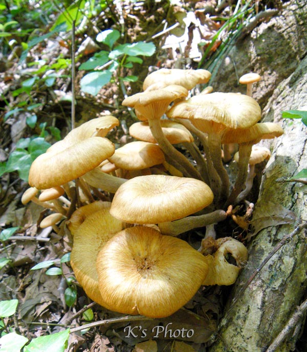 d0054076_10173961.jpg