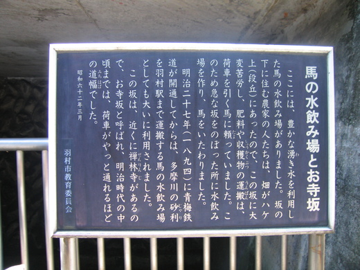 羽村駅で降りて、まいまいず井戸へ。_d0101676_10543721.jpg