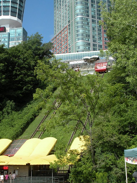 a0124077_11375828.jpg