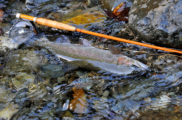 The Bamboo Rod / H.L.Leonard 39 : Spey Bum The Bamboo Rod / H.L.Leonard 39 : Spey Bum