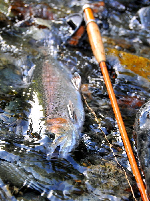 The Bamboo Rod / H.L.Leonard 39 : Spey Bum The Bamboo Rod / H.L.Leonard 39 : Spey Bum