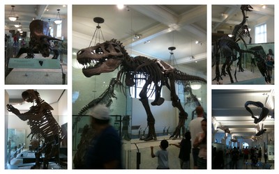 美味しいハンバーガーとAmerican Museum of Natural History_a0141892_18311026.jpg