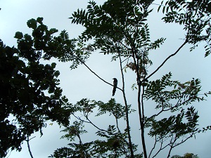 f0008692_84165.jpg