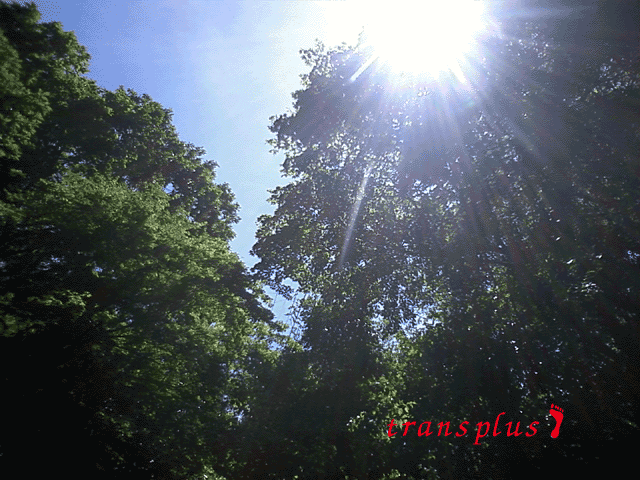 b0031493_22415536.gif