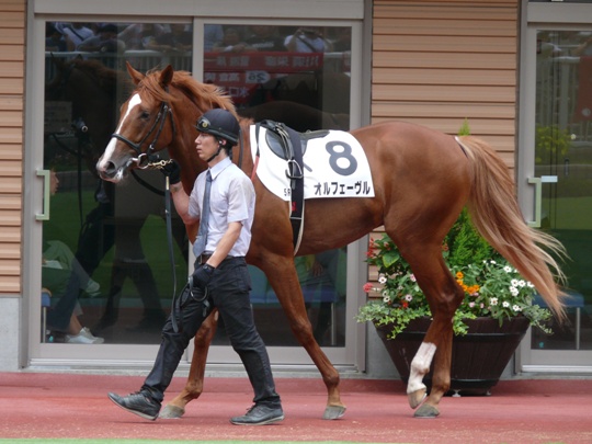 弟も新潟から好発進 : 競馬で楽しい時間を過ごそう