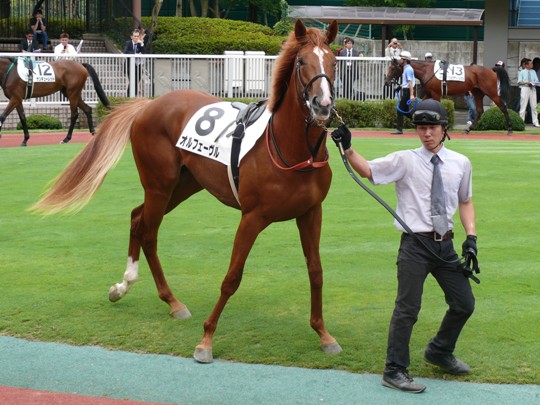 弟も新潟から好発進 : 競馬で楽しい時間を過ごそう