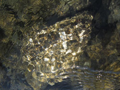 f0185403_11421090.jpg