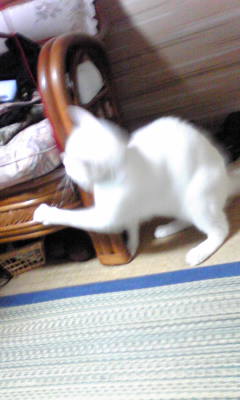 c0180209_23212338.jpg