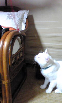 c0180209_23212367.jpg