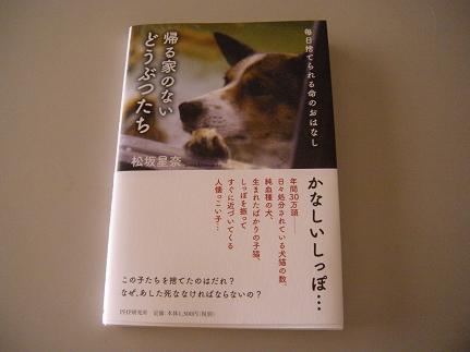 松坂星奈 著　「帰る家のないどうぶつたち」　_f0057509_20555331.jpg