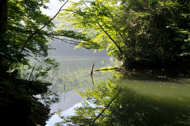 十二湖周辺の散策路　－青森県深浦町－_f0149209_18494762.jpg