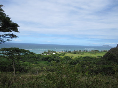 b0184211_13193613.jpg