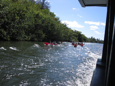 b0184211_17325219.jpg